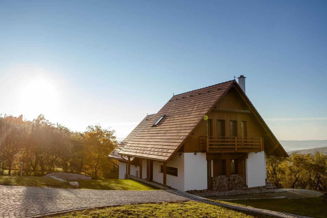 Pensiunea Szilas Panzio Pauleni Экстерьер фото
